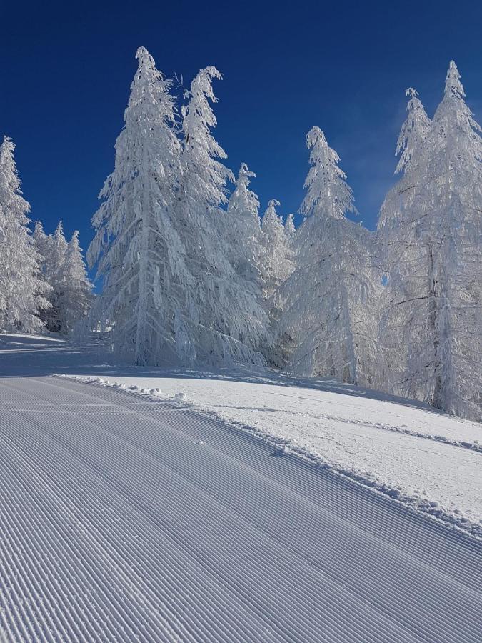 Lodge Laerchenwald Bellwald